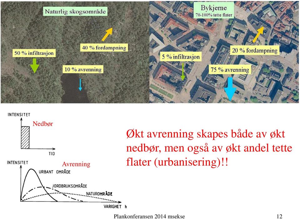 også av økt andel tette flater