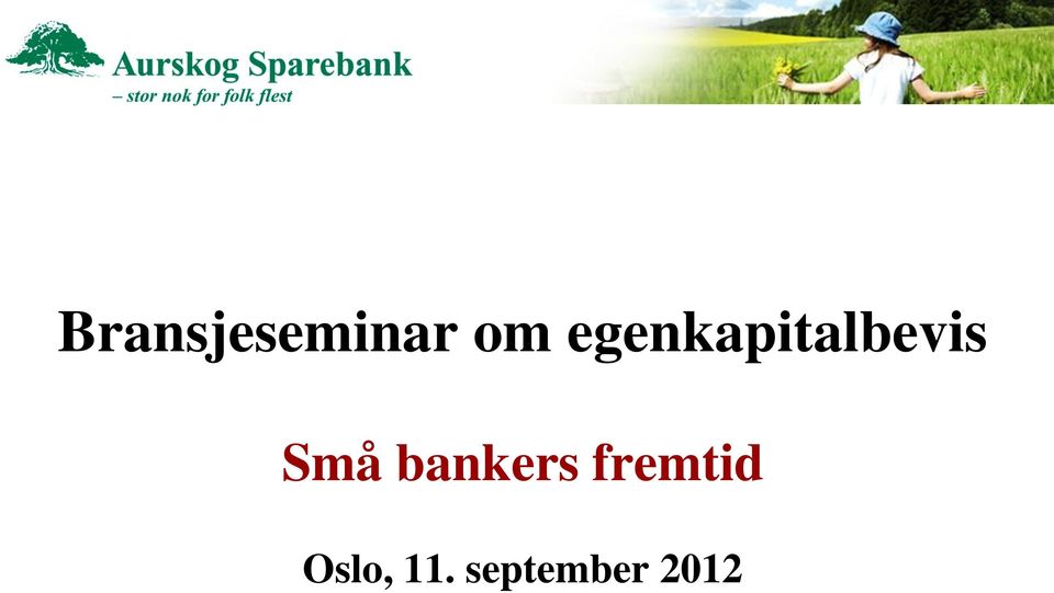 Små bankers fremtid