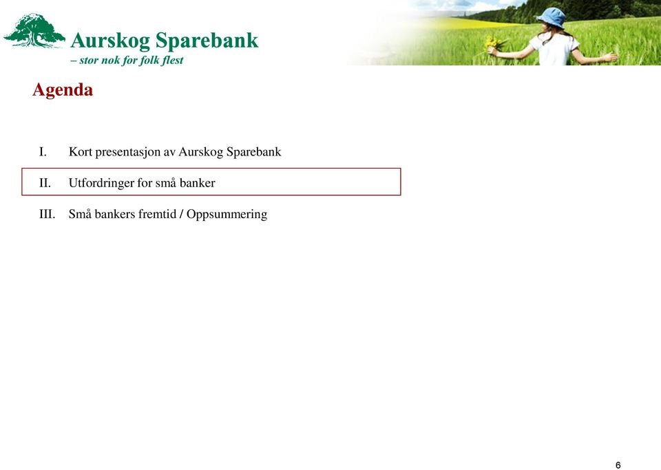 Sparebank II. III.