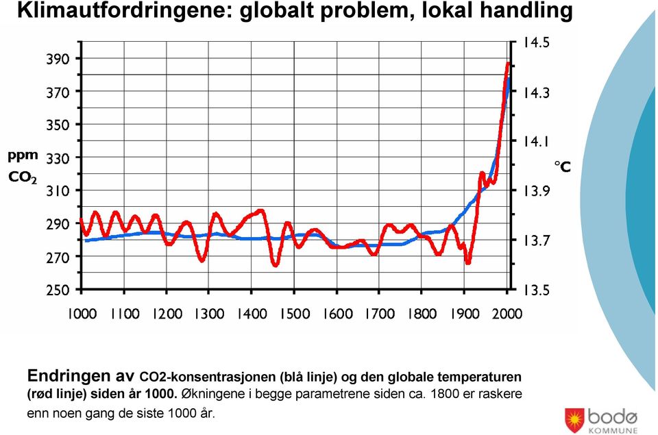 temperaturen (rød linje) siden år 1000.