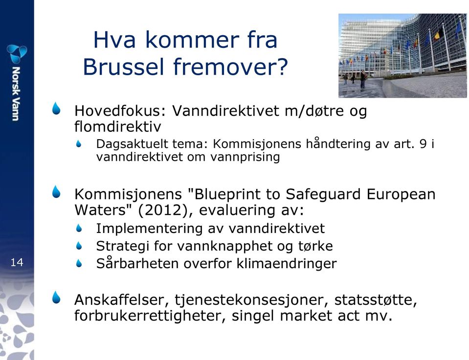 9 i vanndirektivet om vannprising 14 Kommisjonens "Blueprint to Safeguard European Waters" (2012), evaluering