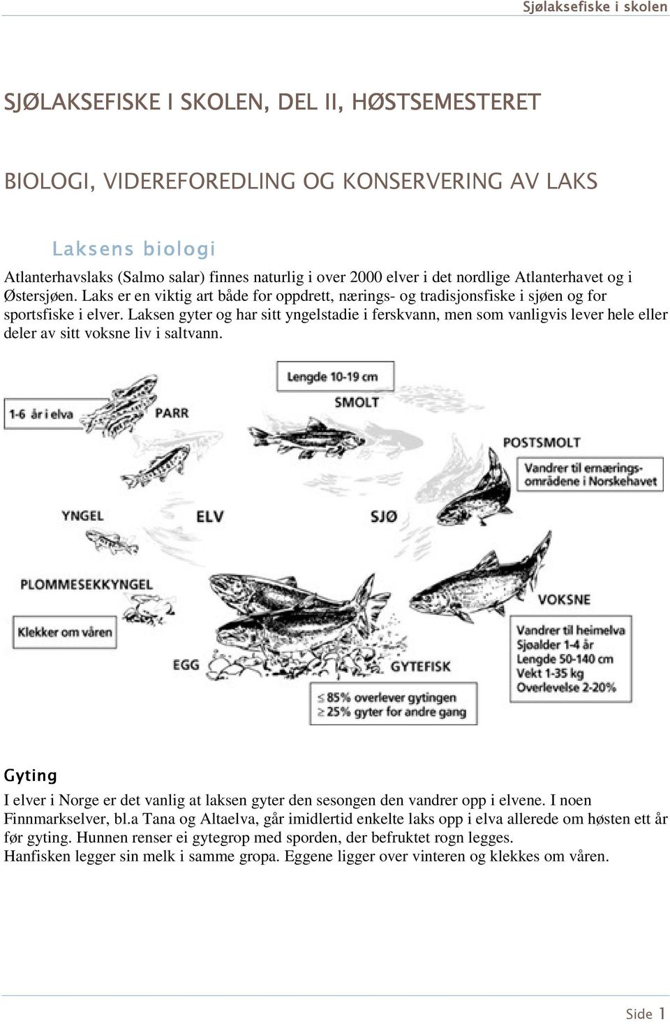 Laksen gyter og har sitt yngelstadie i ferskvann, men som vanligvis lever hele eller deler av sitt voksne liv i saltvann.