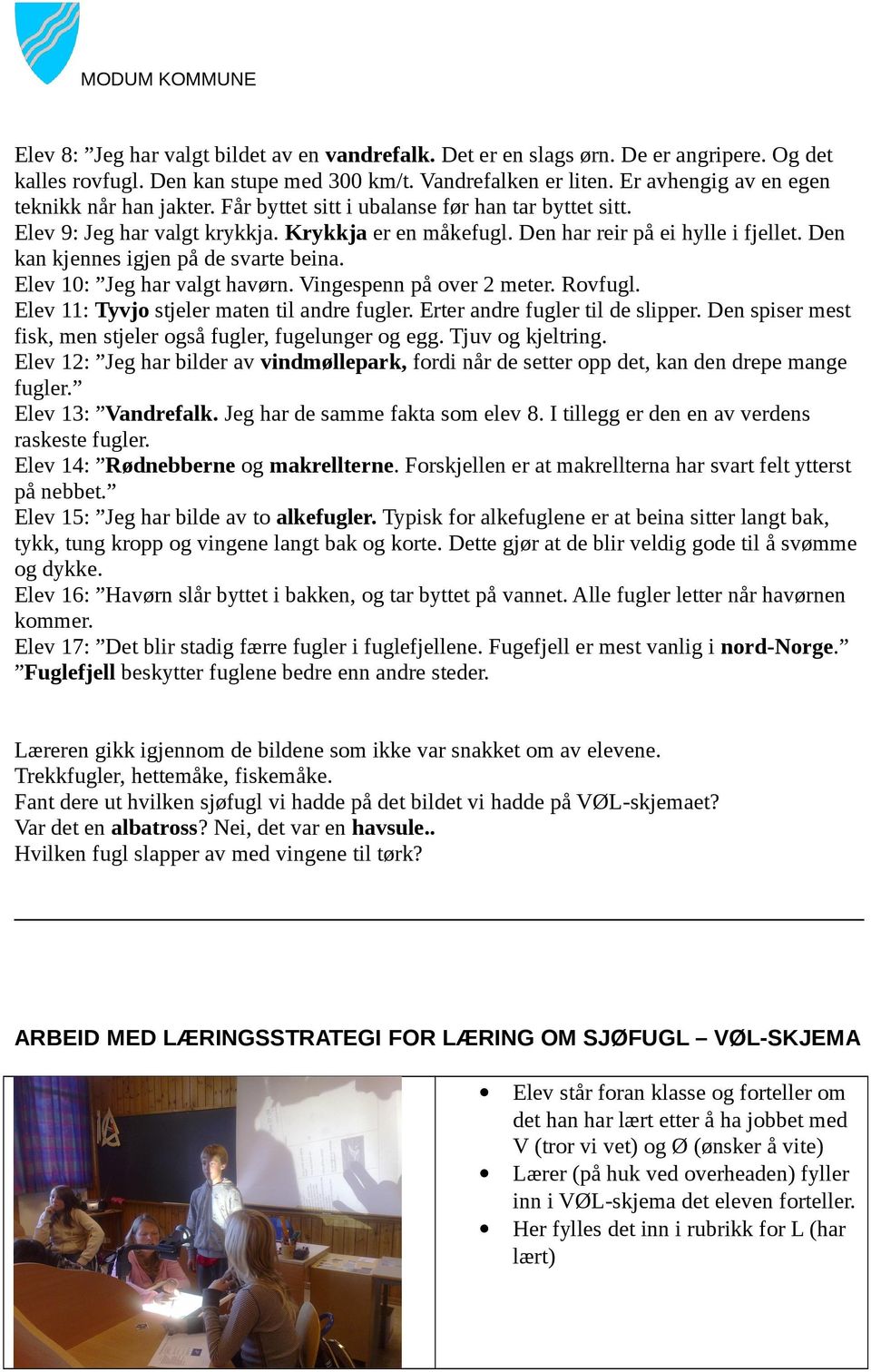 Den kan kjennes igjen på de svarte beina. Elev 10: Jeg har valgt havørn. Vingespenn på over 2 meter. Rovfugl. Elev 11: Tyvjo stjeler maten til andre fugler. Erter andre fugler til de slipper.