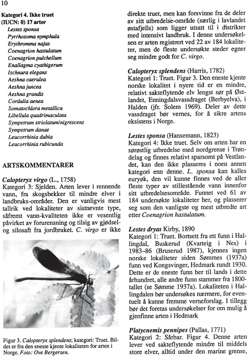 gr& Coniulia aenea Somarochlora metallica Libellula quadrimaculata Syrnpetnun strwlntwnlnigrescens Sympetnun dam Leucorrhinia dubia Leucorrhinia rubicunda ARTSKOMMENTARER Calopteryx virgo (L.