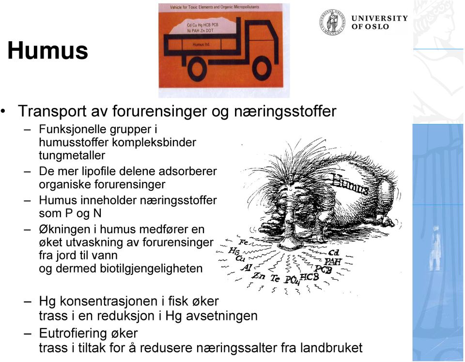 medfører en øket utvaskning av forurensinger fra jord til vann og dermed biotilgjengeligheten Hg konsentrasjonen i