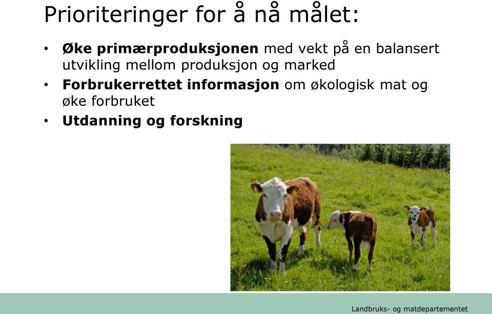 utvikling mellom produksjon og marked