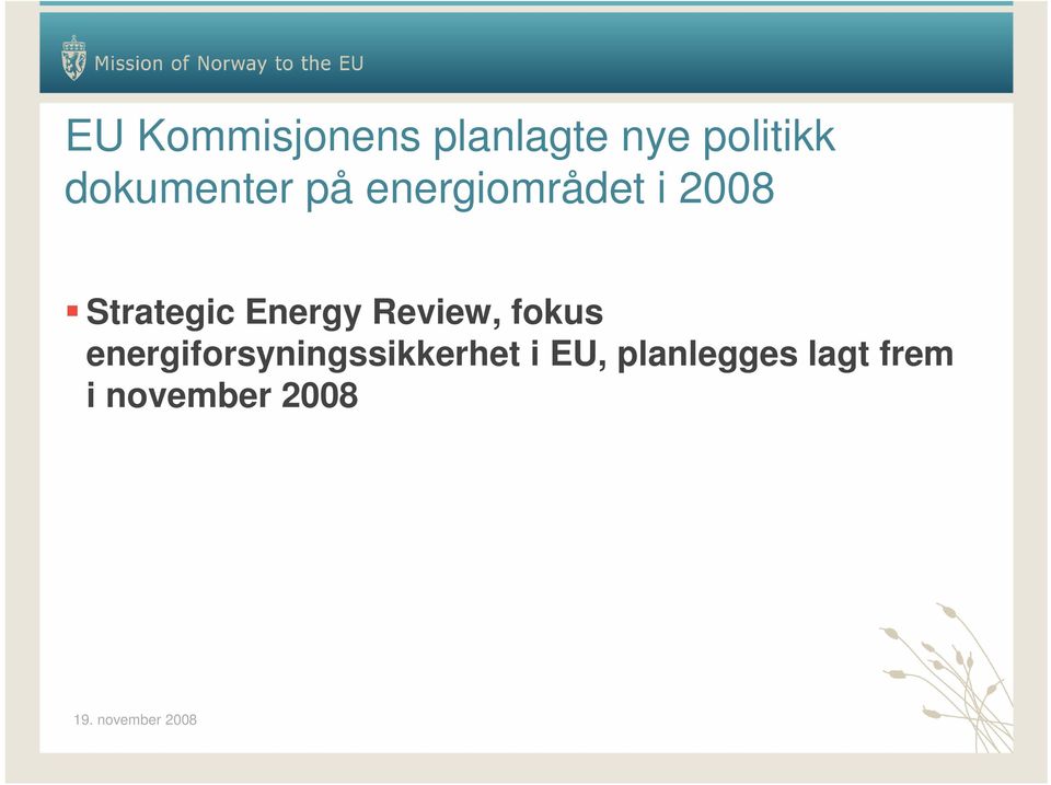 Strategic Energy Review, fokus