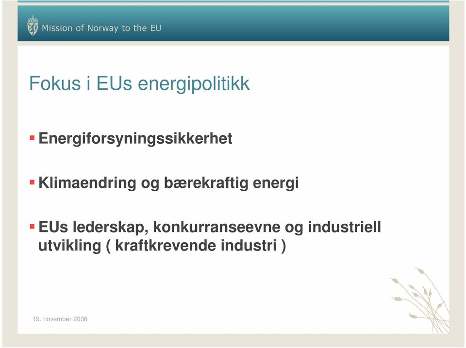 bærekraftig energi EUs lederskap,