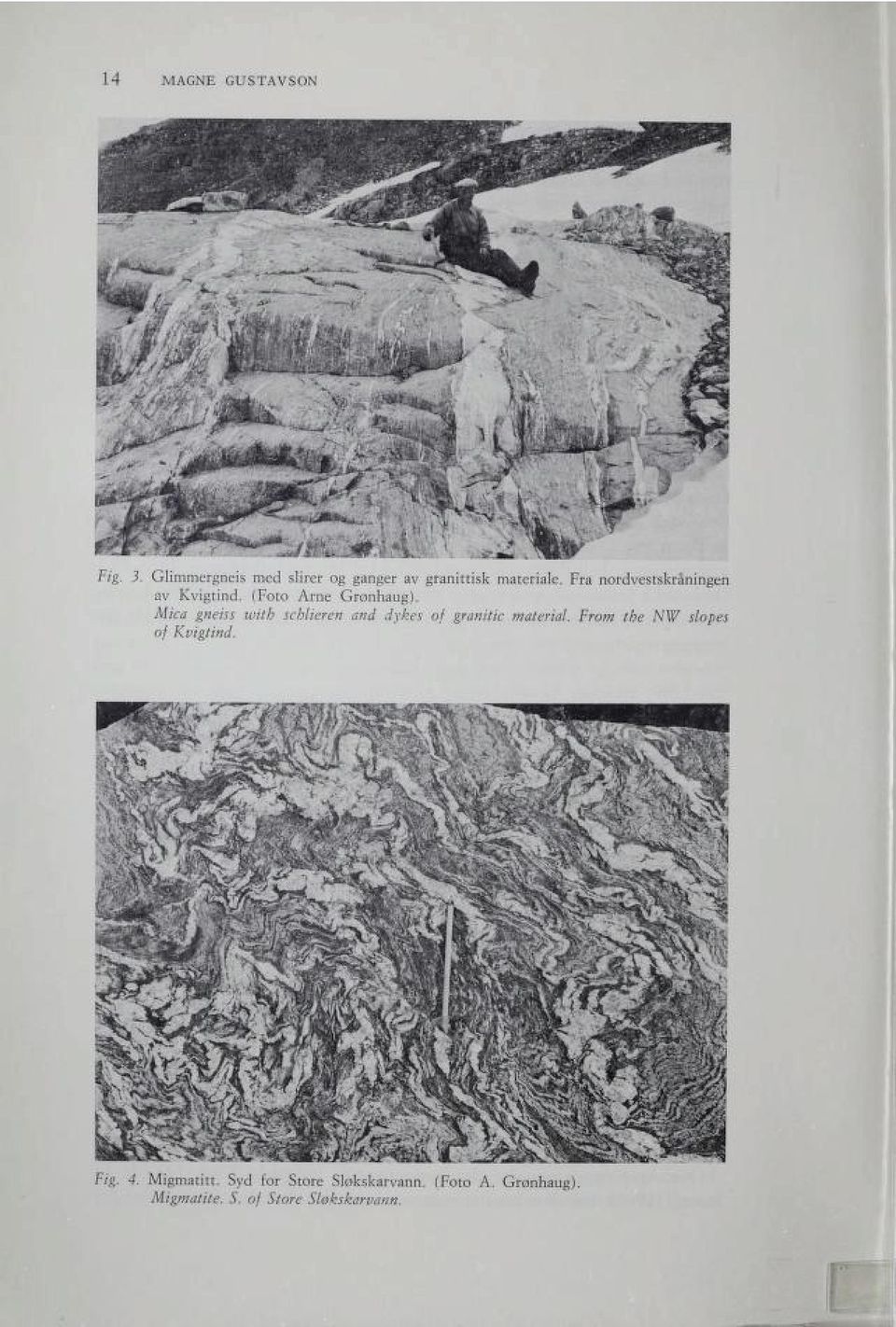 Mica gneiss with schlieren and dykes of granitte material.