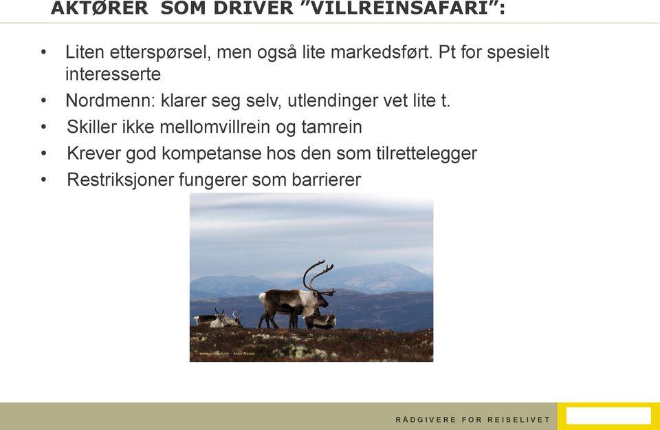 Pt for spesielt interesserte Nordmenn: klarer seg selv, utlendinger vet