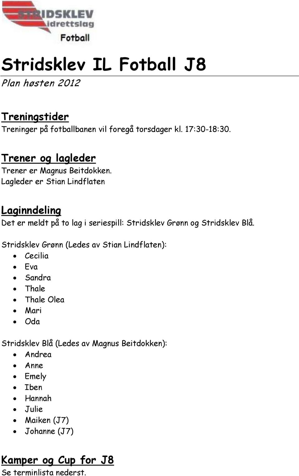 Lagleder er Stian Lindflaten Laginndeling Det er meldt på to lag i seriespill: Stridsklev og Stridsklev Blå.