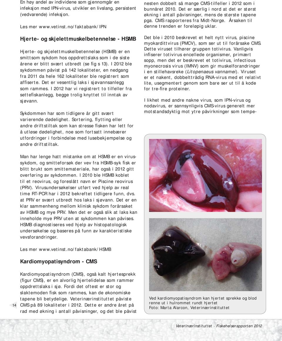 13). I 2012 ble sykdommen påvist på 142 lokaliteter, en nedgang fra 2011 da hele 162 lokaliteter ble registrert som affiserte. Det er vesentlig laks i sjøvannsanlegg som rammes.