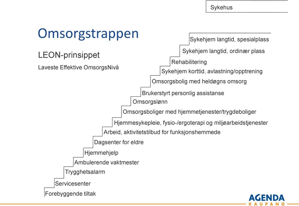 Omsorgslønn Omsorgsboliger med hjemmetjenester/trygdeboliger Hjemmesykepleie, fysio-/ergoterapi og miljøarbeidstjenester Arbeid,