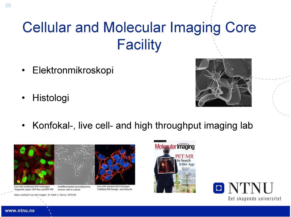 Facility Histologi Konfokal-,