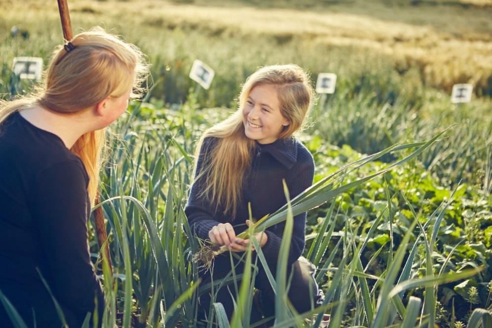 Lena-Valle videregående skole Elever på Valle 2005-2013 2005-2013 Elever på Valle fra Oppland Prosent elevtall Befolkning Prosent befolkning Andel elever i forhold til befolkning Nord-Gudbrandsdalen