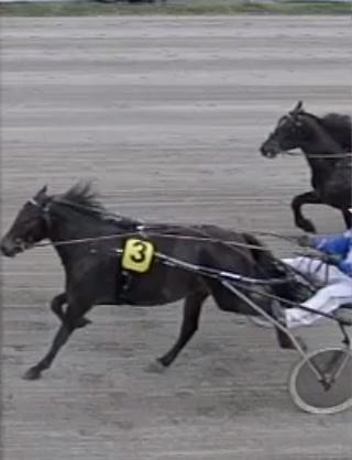 Løp 1 Stall GV Gundersen og Team Midtfjelds løp Kaldblods. 2-årsløp. 1 Nr 3 Mjølner Tora 2 Monica Sønstegård Nils Olav Holm 1900 1.