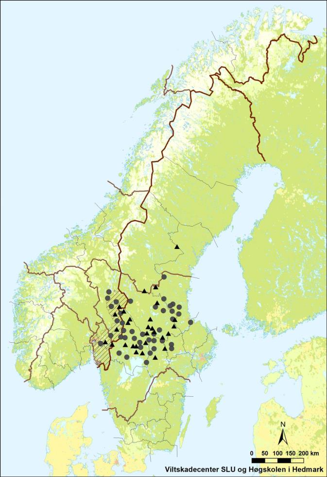 Sak 14/2016 Lisensfelling ulv 2016/2017 Side 2 av 8 Bestandsstatus og skadeomfang Sekretariatet viser til bestandsstatus oppgitt av Rovdata i brev datert 13. mai 2016 og rapport nr.