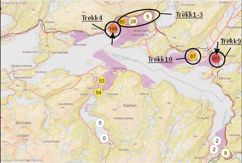 Innledning Skjerstadfjorden er en treskelfjord som ligger innenfor Saltstraumen (Figur 1) i Nordland fylke.