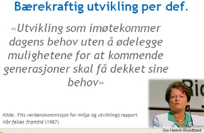 Lærerkompetanser for å undervise for bærekraftig utvikling Faglig kompetanse