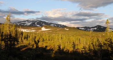 4 5 Overløpspasset i Øvre Roltdalen (ES) Schulzhytta (ES) NATUROPPLEVELSER LANDSKAP OG GEOLOGI Mange turløyper Skogen, fjellet, vatna og merkede turstier gjør nasjonalparken til et vakkert turområde,