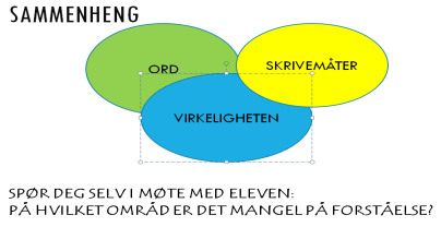 3. REGNING Bruke resultater for å tilpasse hvilket læringsmål og matematisk ferdighet det må trenes ekstra på.