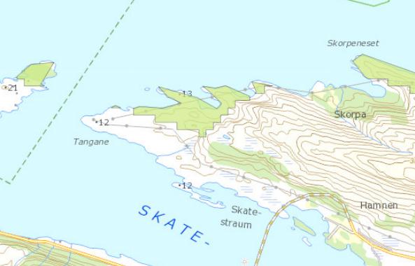 4.3.8 INON Området kring Ørnevika er definert som INON område: "villmarksprega område meir enn 1 km frå tekniske inngrep".