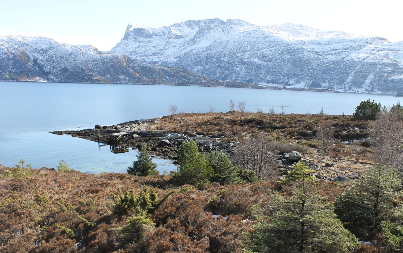 Fig. 52 Område for ferjekai, Timrevika ved Biskjelneset. Utsikt til Rugsundøy med Hornelen i bakgrunnen. 4.