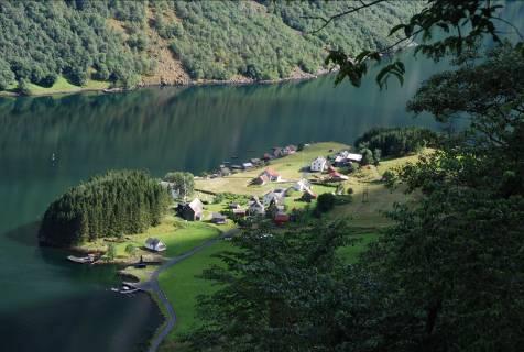 ! Nærøyfjorden Takk