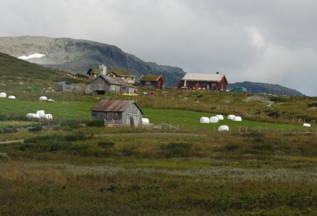 Landskapsanalyse for Nordfjella Utgreiing av