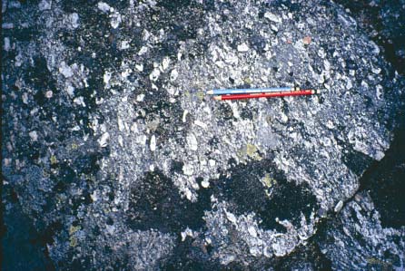 Fig. 8. Nærbilde av granitten på toppen av Vikafjellet.