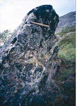 Fig. 9. Erosjonsrest av en pegmatittgang som består av de vanligste mineralene i slike ganger, nemlig kvarts, feltspat og glimmer. Under pegmatitten, til høyre i bildet, er det marmor.