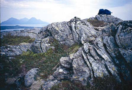 Fig. 10. Glimmergneisen på toppen av Kamman. Tynne granittiske lag kan sees i gneisen her. Dette er en mer skifrig bergart enn den jevnt over massive granitten.