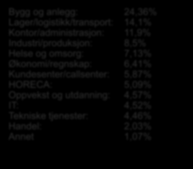 Yrkesområder 2013 Etter lovendringer i 2000 kan bemanningsbransjen levere personell på alle yrkesområder. I bransjestatistikken er dette grovoppdelt i 13 områder.