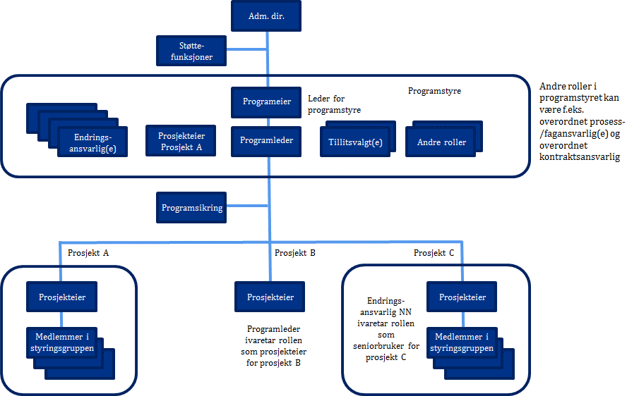 13 / 32 Merk at flere personer kan inneha samme rolle, f.eks. vil flere representanter fra ulike helseforetak kunne inneha rollen som endringsansvarlig. Andre roller kan defineres ved behov, f.eks. overordnet prosess-/fagansvarlig.