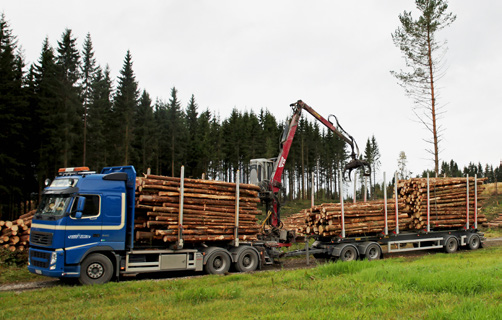 Må stå imot flom/skred og tåle dagens tømmervogntog Det hogges i norske skoger både sommer og vinter. FOTO: ANNE MÆHLUM Transport hele året Industrien trenger i dag jevn tilgang på tømmer hele året.