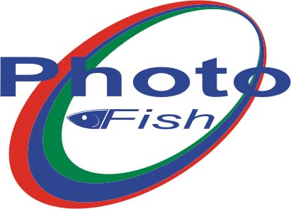 QUALITY DOCUMENTATION Date of sampling: Company: Location: Fish group: Net pen: Fish number Body weight (kg) 08.01.