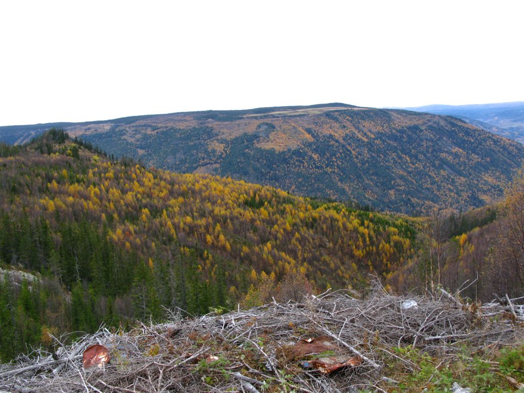 Bilder fra området Rollagåi Haugfossen danner et imponerende fossefall der den faller ned i den bratte bekkekløfta til Rollagåe. Her sett fra Mælsåsen.