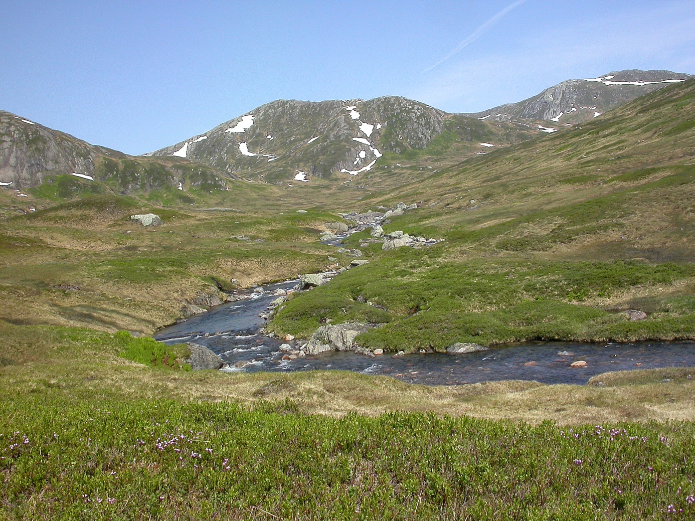 Gjestådalen med Storskarven i bakgrunnen til høyre. Foto: Andreas Winnem. Stråsjøen-Prestøyan naturreservat er 5,4 km 2 stort og ligger i Selbu kommune i Sør-Trøndelag (kilde: http://www.fylkesmannen.