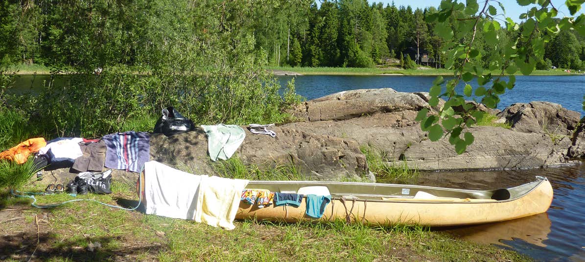 Tiltak med endret jordarbeiding i landbruket kan føre til økt innhold av soppgifter i korn eller økt bruk av plantevernmidler. Dette kan være i konflikt med målet om trygg norsk mat.