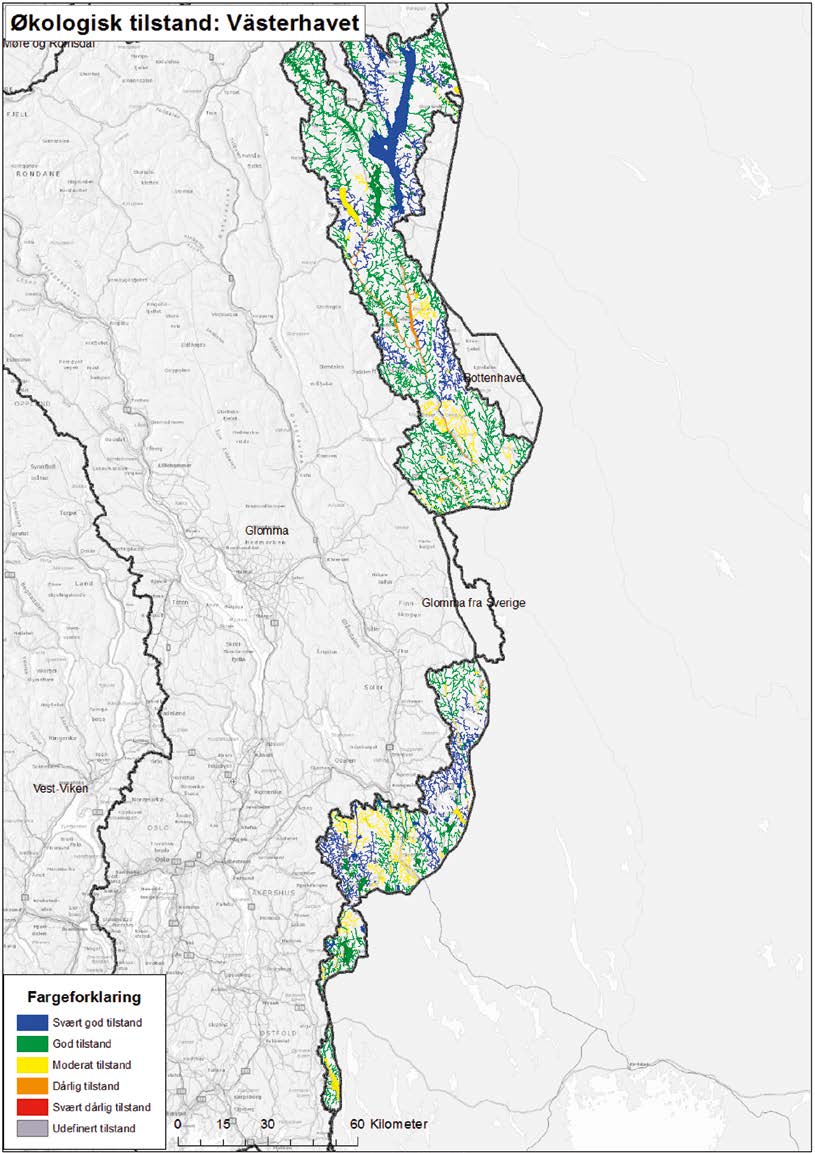 Kartet i figur 6.4 viser den geografiske fordelingen av økologisk tilstand for vannforekomstene i Grensevassdragene. FIGUR 6.4. Vannforekomstenes økologiske tilstand, kategorisert fra svært god til svært dårlig, i Grensevassdragene.