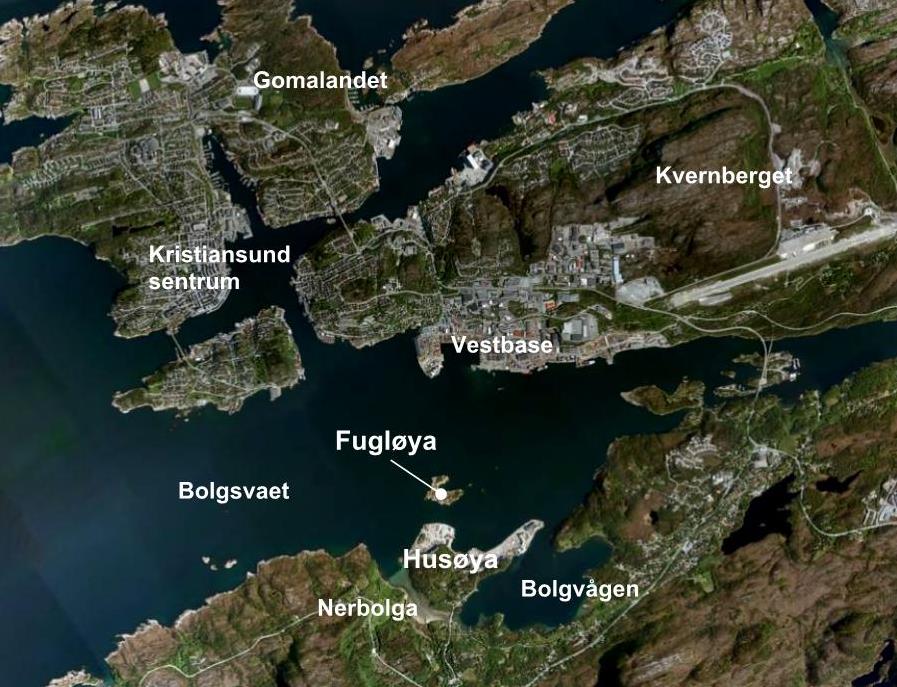 Vurdering av samlet belastning på naturverdier omkring Husøya 7 1 Innledning Denne rapporten presenteres som et vedlegg til konsekvensutredning for industriområde og dypvannskai på Husøya i