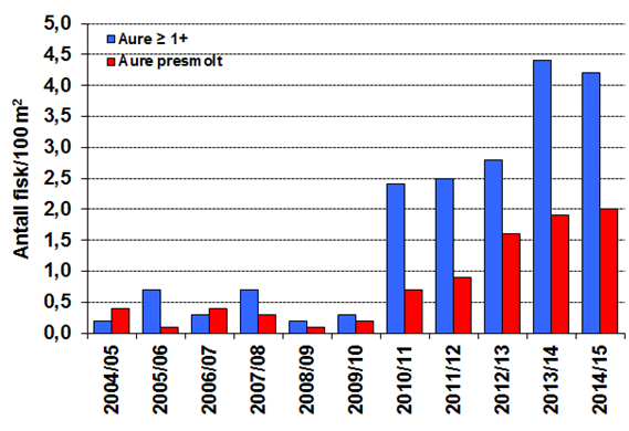 12.1 Ungfisketthet i Storåna og Bjørg På de 11 elfiskestasjonene i Storåna og Bjørg ble tetthetene av årsunger og eldre laksunger i 2014 beregnet til hhv 19,2 og 15,4 individer pr 100 m 2.