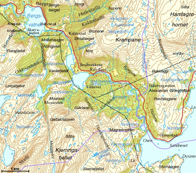 Figur 1: Bergsvatnet (til venstre) i Bergsdalen, Vaksdal kommune.