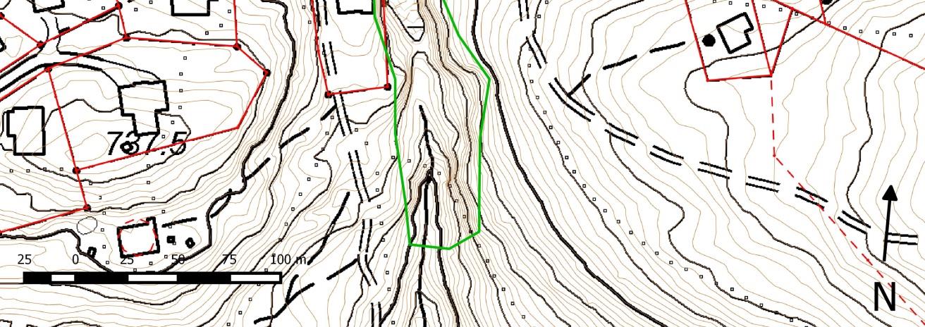 Figur 1: Naturtypens plassering (grønn polygon) i kløfta rett vest for Høgefjell på Lifjell, samt rødlistefunnens plassering i området (blått punkt).