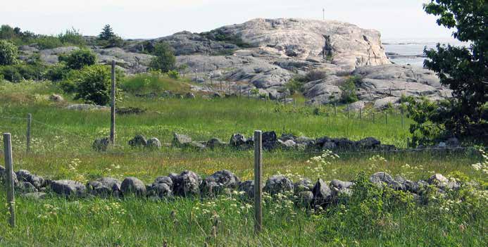 34 Jomfruland nasjonalpark: Verneforslag med konsekvensutredning / Høring 2015 Steingjerder på Stråholmen. Det er også en gravrøys på Stråholmen.