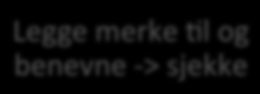 3. MBTF Loop Legge merke til og benevne -> sjekke Mentalisere øyeblikket -> sjekke Generalisere og vektlegge endring -> sjekke Legge merke Vl og