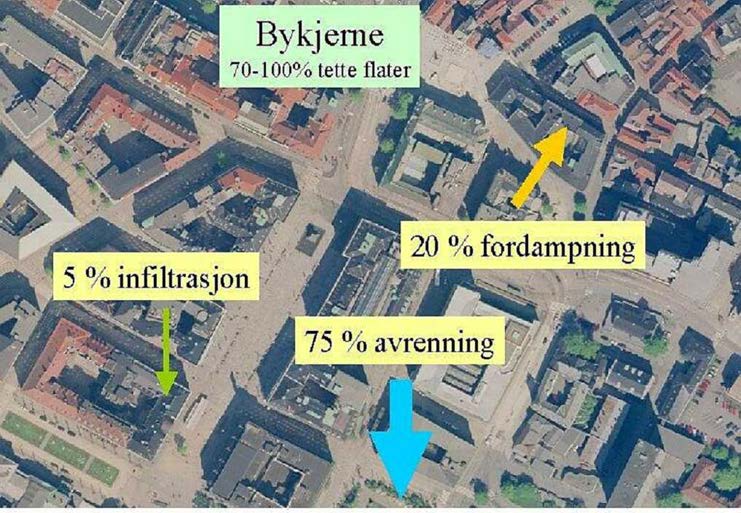 Nedbør Avrenning Økt avrenning skapes både av økt nedbør, men også av