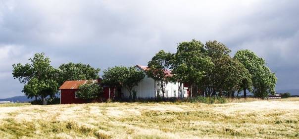 Viken gård på Grande (64/24). Foto: Silje Taftø Petersen. Gården Grande/Stu (64/7). Foto: Silje Taftø Petersen. Våningshusene både på Stu (183396862) og Viken (183396897) er flyttet til stedet fra Rissa i 1890-årene.