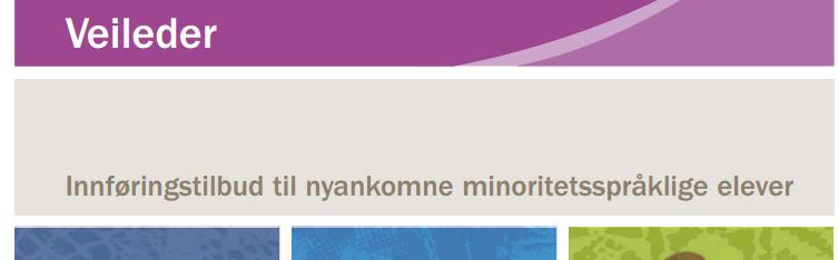 Ny mulighet i loven: Endring i opplæringsloven 4A-1 andre ledd Kommuner og fylkeskommuner kan òg tilby grunnskoleopplæring etter første ledd til dei som har rett til vidaregåande opplæring etter 3-1,