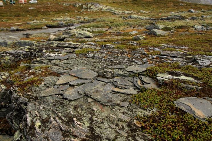 Verneforskriften landskapsvernområdene (3) Landskapsvernområdene: 3: Landskapet, punkt 1.